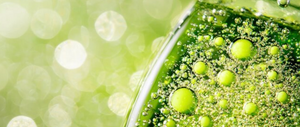 Alpha-Lipoic Acid