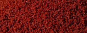 Ferrous Fumarate (Iron)