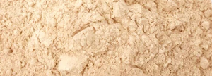 Panax Ginseng